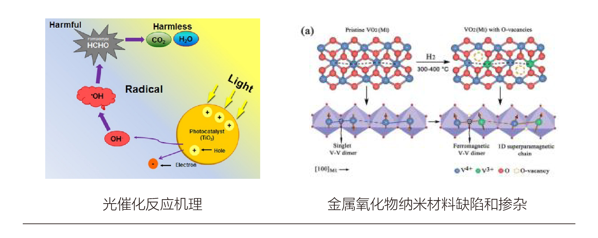 生命科学:癌症,心脑血管疾病发病机理研究,氮氧自由基,活性氧等检测